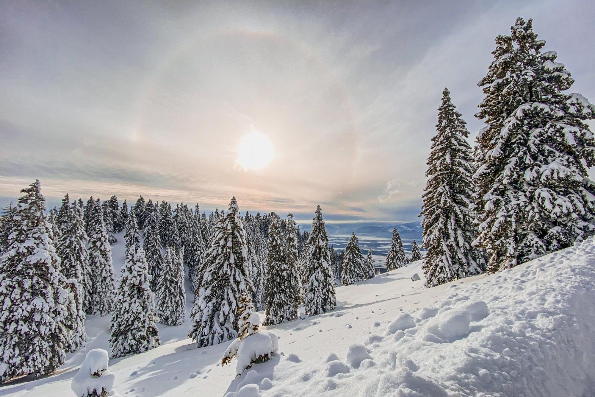 Panorama Krvavec Ski-in, Ski-out Сasa de vacaciones